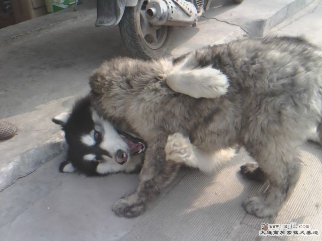 PH20100405084955.jpg