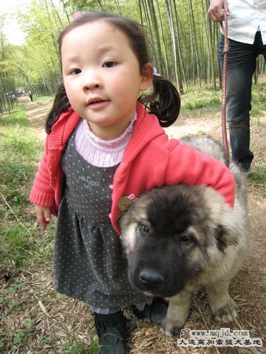 Сһ񶼺