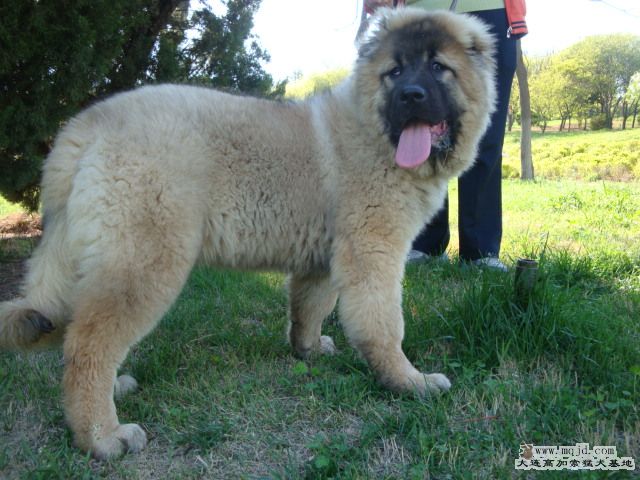 DSC01110.JPG