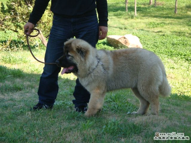 DSC01107.JPG