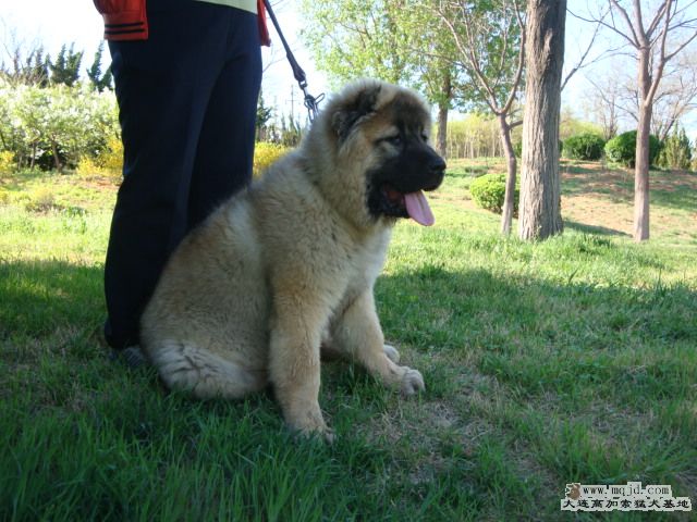 DSC01117.JPG