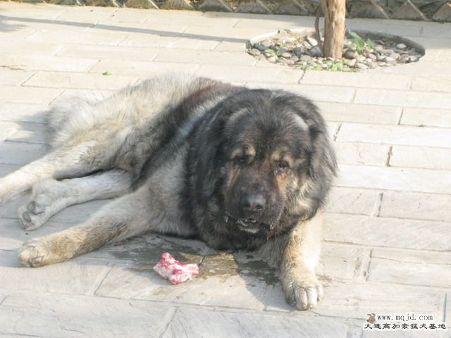 Ƭ20101131 6.jpg