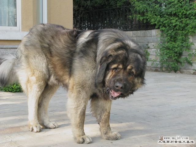 Ƭ20101131 7.jpg
