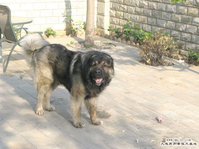 Ƭ20101131 4.jpg