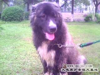 IMG0287A.jpg