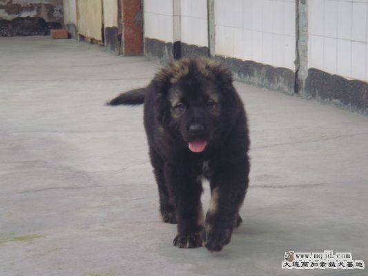 DSC00692_С.JPG