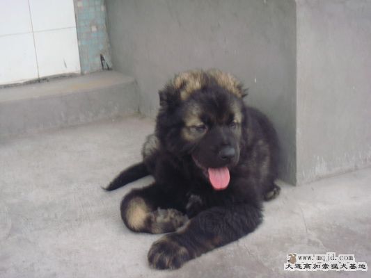 DSC00717_С.JPG