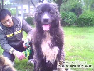 IMG0282A.jpg