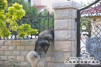 024׸20100607.jpg