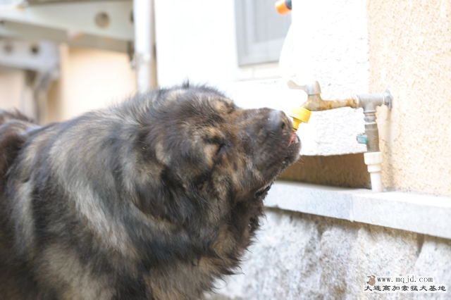 032׸20100607.jpg