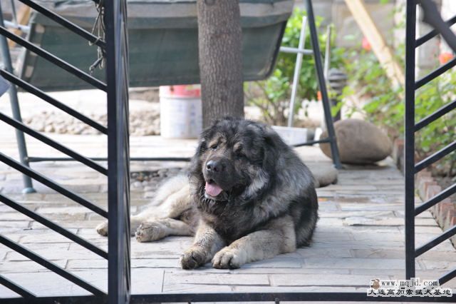 033׸20100607.jpg