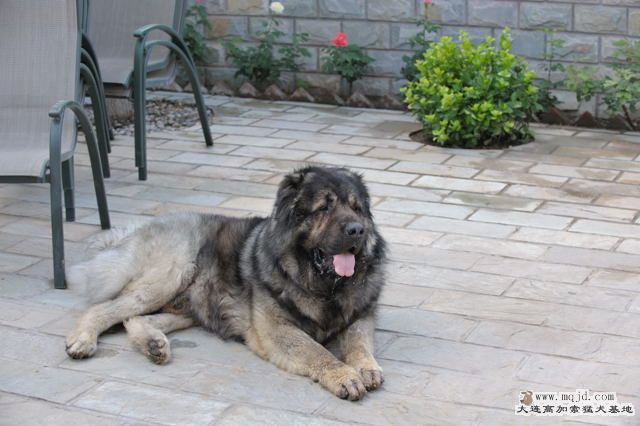 011׸20100607.jpg