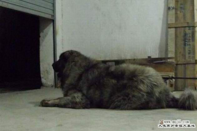 DSCF0587__.jpg