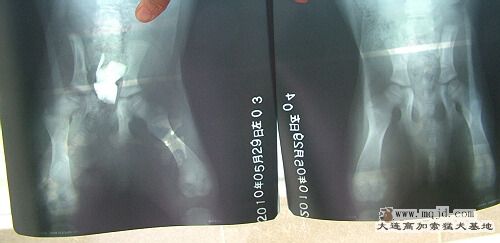 DSCF6531.JPG