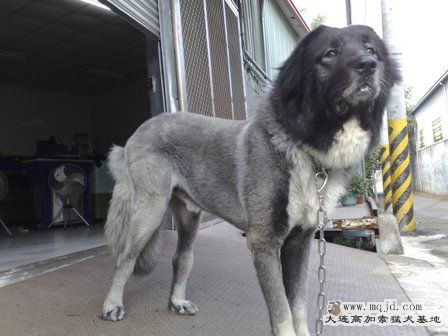 201006091862.jpg