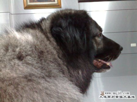 201004101579.jpg