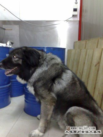 201004111587.jpg