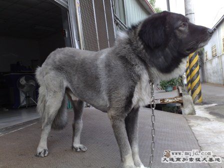 201006091861.jpg