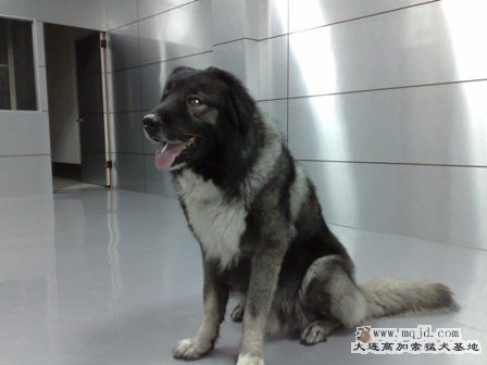 201004101581.jpg