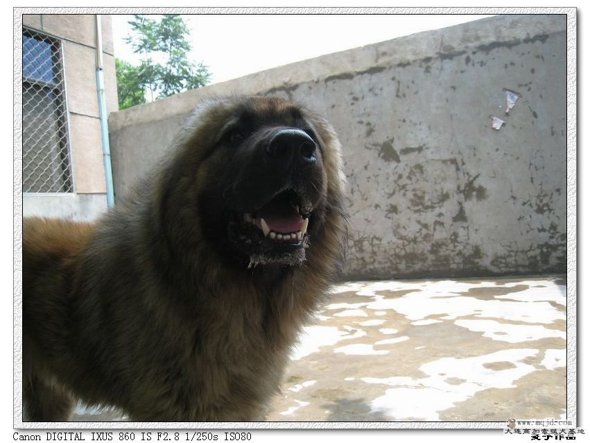 2010.7.14ͼëͼƬ 007.jpg