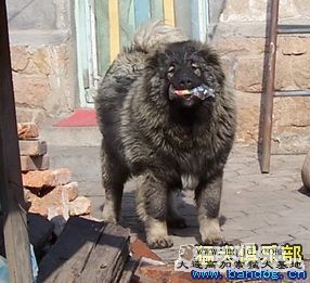 20103242021381461.jpg