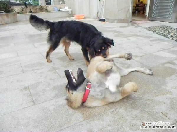 ĺڹռϷ硣