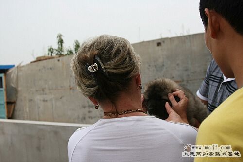 IMG_7790.JPG