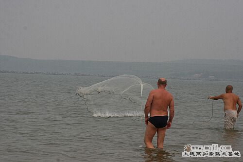 IMG_7866.JPG