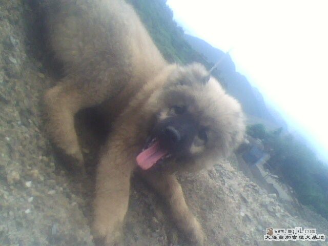 IMG0128A.jpg