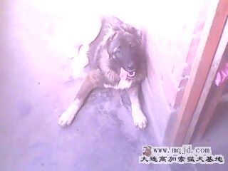 IMG0094A.jpg