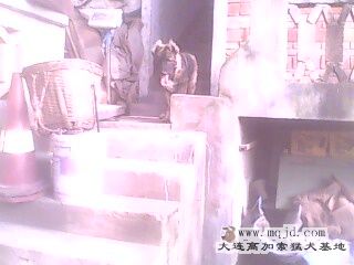 IMG0099A.jpg