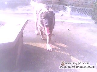 IMG0104A.jpg