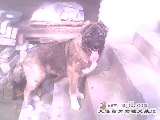 IMG0102A.jpg