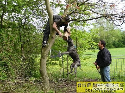 201091319334942119.jpg