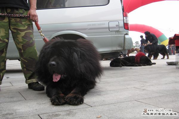 2010.10.2ȥϿչ 004.jpg
