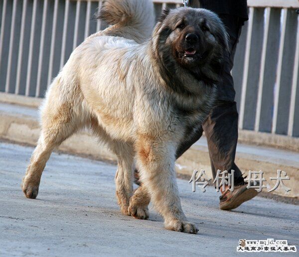 20101024_e3baa8b869a63b28382eRE36xuwuw3ks.jpg