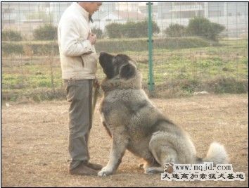 δ1.jpg