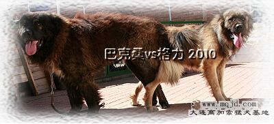 IMG_8356.JPG