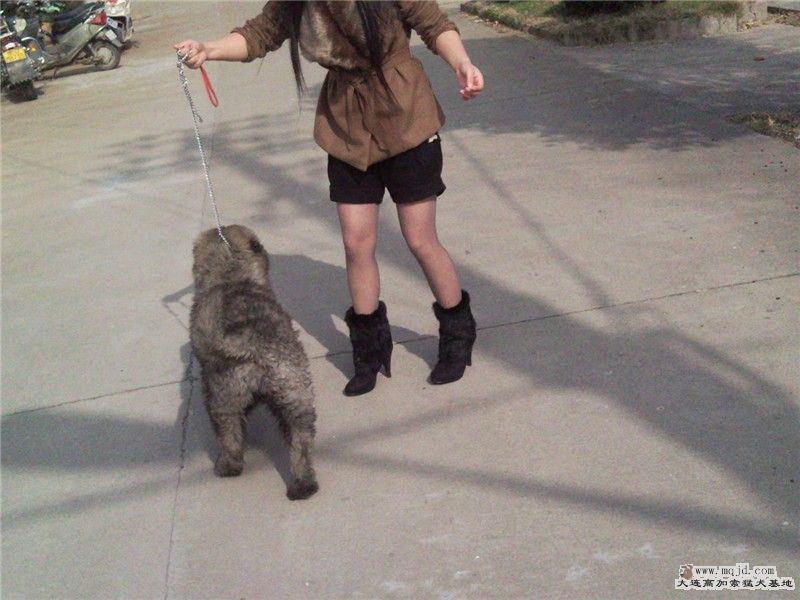 Ƭ0543_.jpg