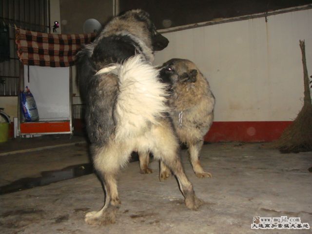 DSC05012.JPG