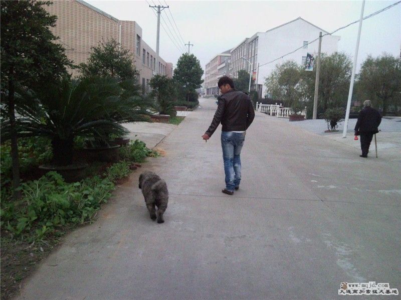 Ƭ0564_.jpg