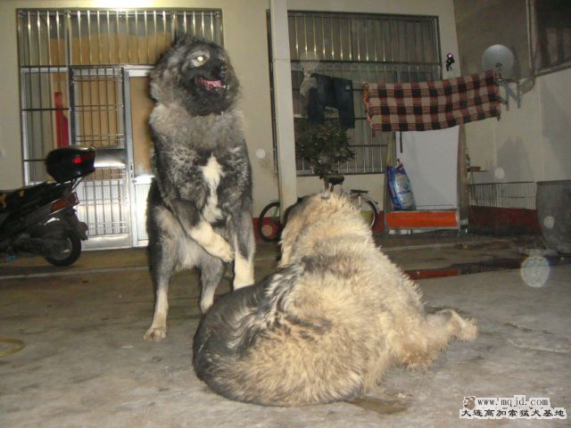 DSC05013.JPG