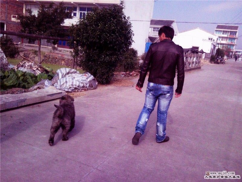 Ƭ0535_.jpg