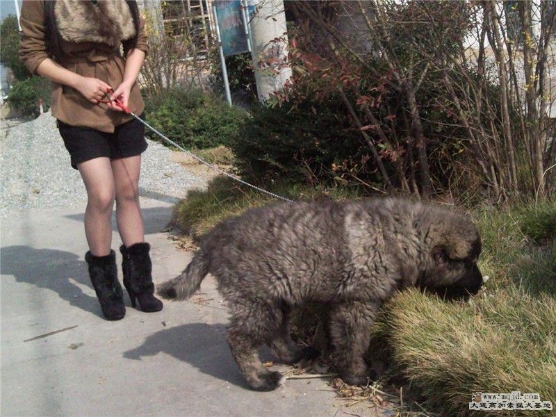 Ƭ0548_.jpg
