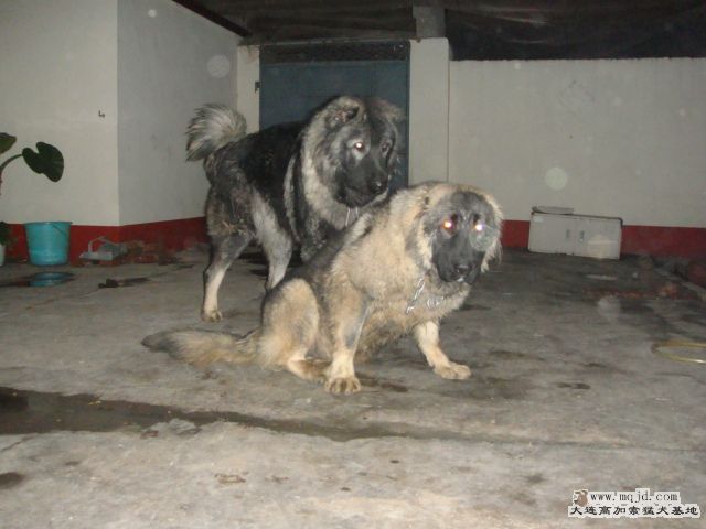 DSC05009.JPG