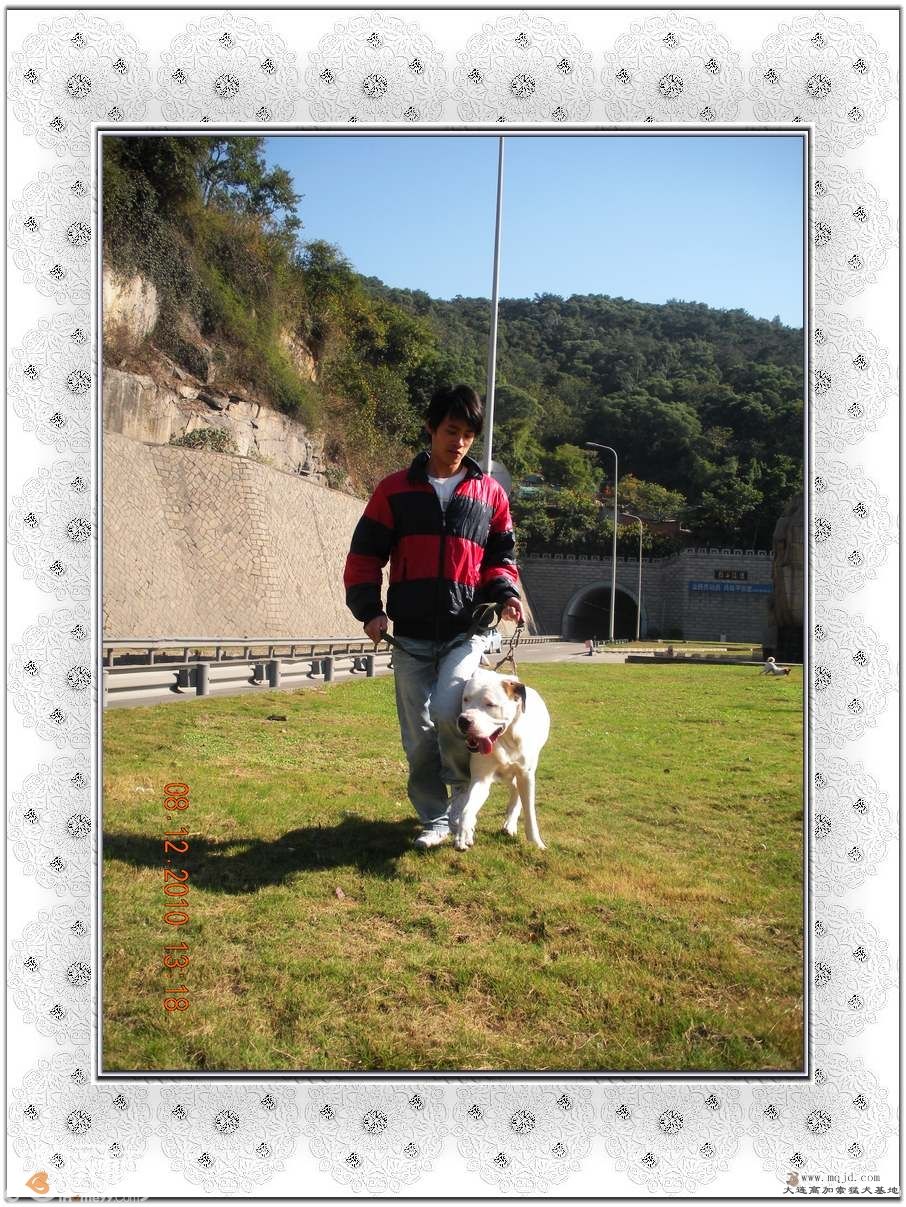 1012111200dbb945cb3be3d327.jpg