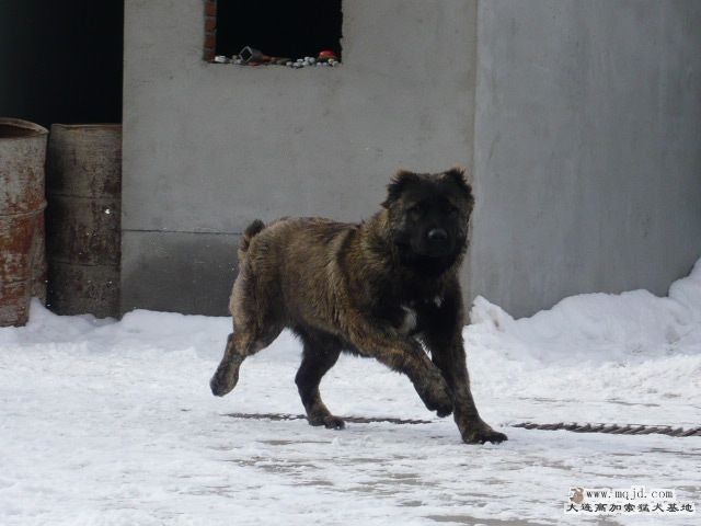 P1050724.JPG