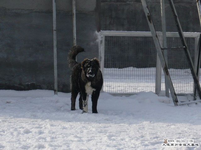 P1050649.JPG