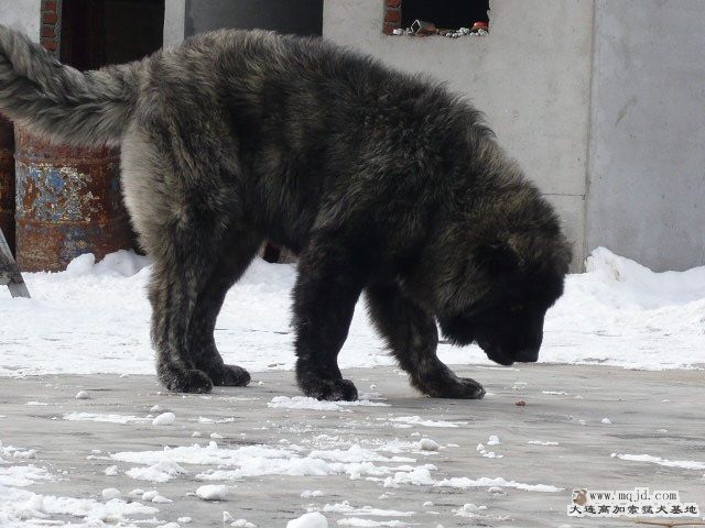 P1050710.JPG