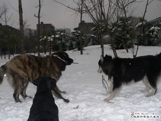 P1220422.jpg